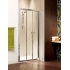 Душевая дверь Radaway Treviso DW 120