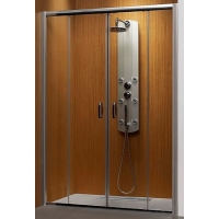 Душевая дверь Premium Plus DWD 180