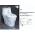 Laguraty унитаз моноблок lotus 2140